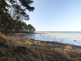 The Baltic Sea beach in Estonia