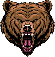 Vector illustration, the head of a ferocious grizzly bear - obrazy, fototapety, plakaty