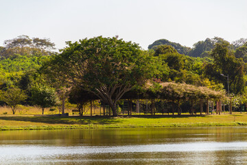 Paisagem. Uma das vistas do Parque Leolidio di Ramos Caiado na cidade de Goiânia.