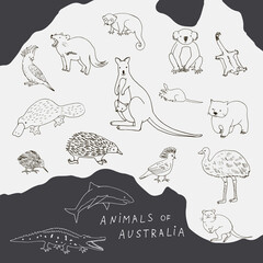 Australian animals vector illustrations set