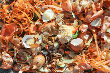 Raw kitchen waste for composting