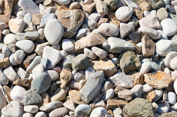 Large smooth stones on the coast. The background is made of pebbles.