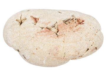 Top view of single gray pebble