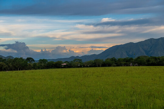sunset in a rice field