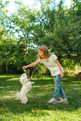girl 9 years old model plays on juicy fresh lawn grass with white dog maltese summer holidays