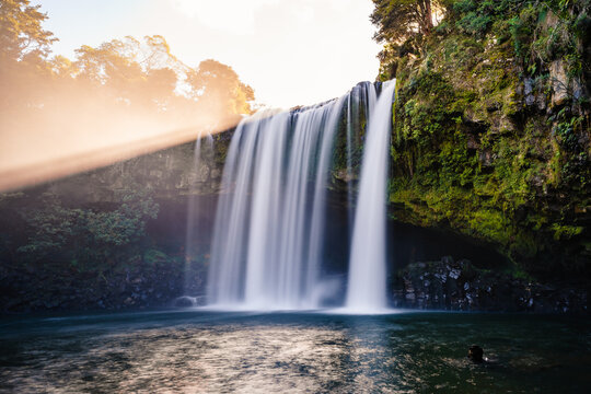 Breathtaking Whangarei Falls in Tikipunga, New Zealand