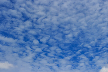 White clouds (Cirrocumulus clouds )