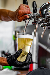 hand at beer tap pouring a draught beer in glass serving in a cafe