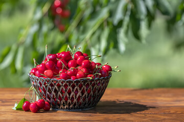 ripe cherries in basket on wooden table outdoors