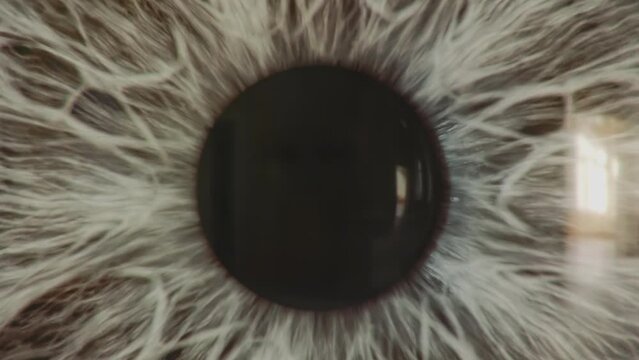 Human eye grey iris and pupil extreme macro.