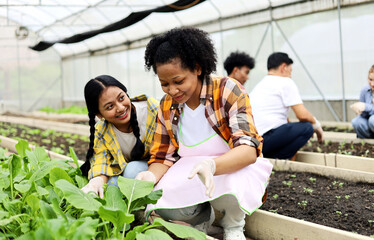 Happiness children study learning to prepare the soil before planting vegetables.
