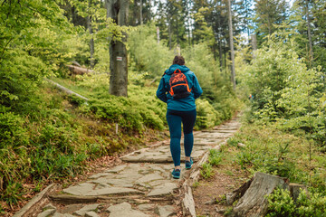 Back view of woman hiking at mountains with sport backpack. Babia Gora Poland