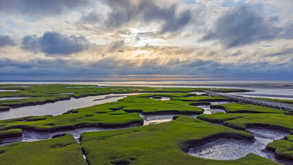 Marshland and boardwalk overlooking ocean at sunset.