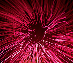 Concept of pink fiber optic light effect. Luminescent magenta sea anemone pattern. Closeup of...