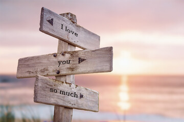 i love you so much text quote on wooden crossroad signpost outdoors on beach with pink pastel...