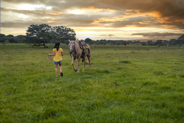 Niña corriendo hacia caballo en campo con atardecer de fondo