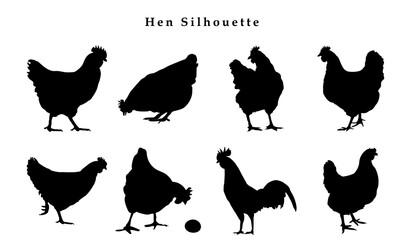 Silhouettes of hen chicken. vector Illustration