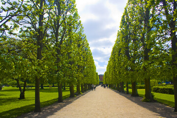 Fototapeta na wymiar King's Garden in Copenhagen, Denmark