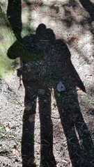 The couple's shadow.
