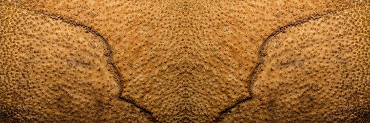 Textura de superfície de madeira. Tronco de árvore cortado deixando a mostra a casca e toda a...