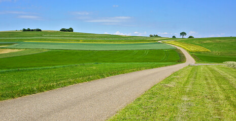 Sommerlandschaft auf der Schwäbischen Alb bei Engstingen; Baden Württemberg, Deutschland