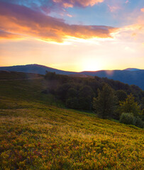 Fototapeta na wymiar spectacular summer scenery, awesome sunset landscape, beautiful nature background in the mountains, Carpathian mountains, Ukraine, Europe