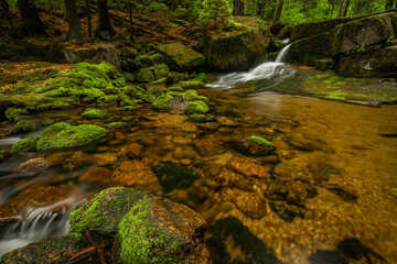 Jedlova creek in Jizerske mountains in spring morning