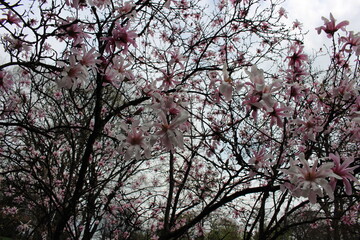Spring has Arrived!! 