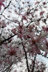 Spring has Arrived!! 