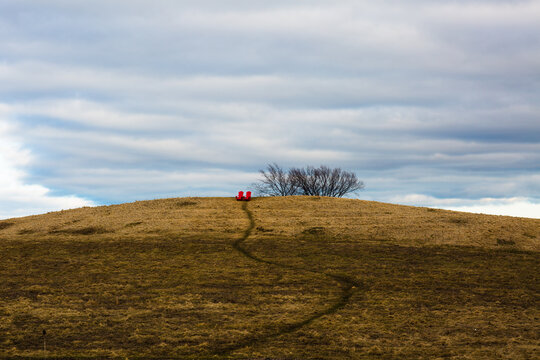 Peaceful scene with a narrow path leading to lonely bare trees in Downsview Park, Toronto, Canada
