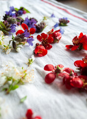 Spring flowers scattered on a white towel.