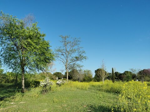 Scenic view of Cuna Verde de O'Donnell Park with green nature in Madrid, Spain