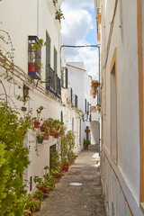 Fototapeta na wymiar Alley with plants and white houses in Andalusia