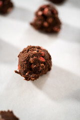 Obraz na płótnie Canvas Chocolate cookies with peppermint chips