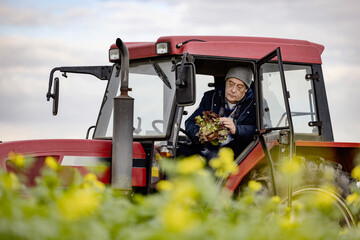 Bauer auf seinem Traktor prüft einen Salatkopf