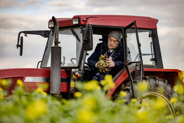Bauer auf seinem Traktor prüft einen Salatkopf