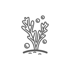 Obraz premium Vector linear aquarium algae with bubbles icon. Isolated pictogram with a water plant on a white background. Outline sign for web. Fucus illustration