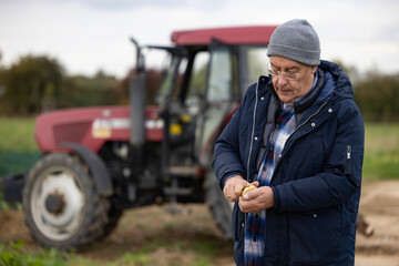 Bauer prüft auf einem Feld die Qualität seiner Kartoffeln vor seinem Traktor
