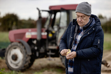 Bauer prüft auf einem Feld die Qualität seiner Kartoffeln vor seinem Traktor