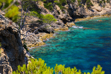 Translucent waters at the bottom of Cala Blanca, a tiny bay in the southeast of Ibiza Island in the Mediterranean Sea - Pine covered cliffs overlooking the Mediterranean Sea near Cala Llonga
