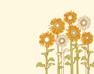 Sunflowers field background. Vector sunflowers vintage illustration nature background for text. Vector graphic handdrawn line field sunflowers