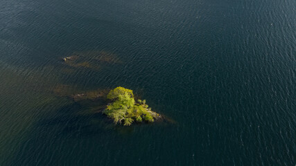 An aerial shot of a lone tree growing on its own Island on Crummock Water in the Lake District, UK