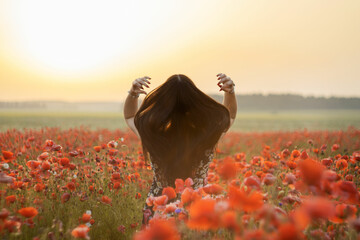 Girl stands in flowered field of red poppies with his back to camera. A girl walks in a meadow with beautiful poppy flowers.