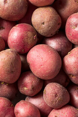 Red Organic Potatoes in a Bowl