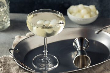 Obraz na płótnie Canvas Boozy Refreshing Gin Gibson Martini