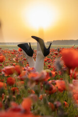 Legs of a girl in high-heeled shoes in a poppy field. Joy and fun concept. Black high-heeled shoes.