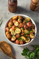 Fototapeta na wymiar Homemade German Potato Salad