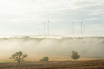 Windräder in der Morgenstimmung fotografiert - bei Trier
