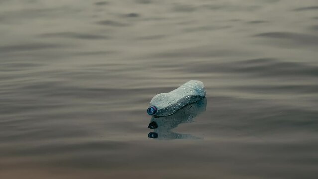 a plastic bottle floats on the surface of the water. people throw garbage on the beach