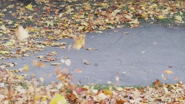 Close-up of how the device blows off the leaves. In autumn, a man with a leaf vacuum cleaner.